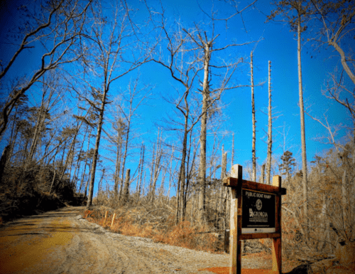 A dirt road leads to a sign for a public boat ramp, surrounded by bare trees under a clear blue sky.