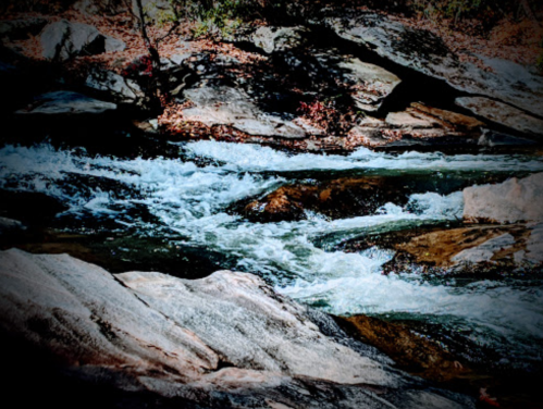 A flowing river cascades over rocks, surrounded by trees and autumn leaves.