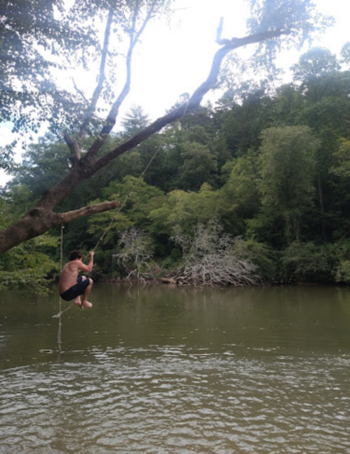 A person swings from a rope tied to a tree over a calm river, surrounded by lush green trees.