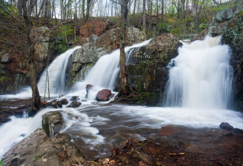 A serene waterfall cascades over rocks, surrounded by lush greenery and trees in a tranquil forest setting.