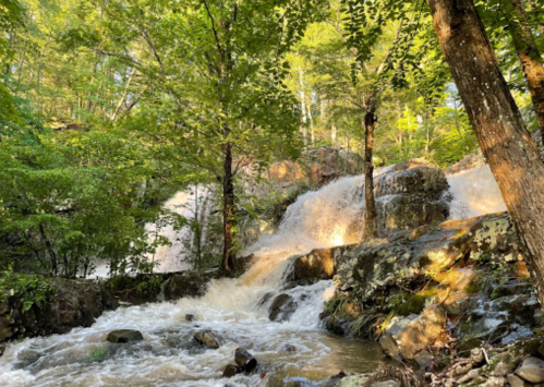 A serene waterfall cascades over rocks, surrounded by lush green trees in a peaceful forest setting.