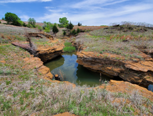 A rocky landscape with a small pond surrounded by dry grass and sparse trees under a blue sky.