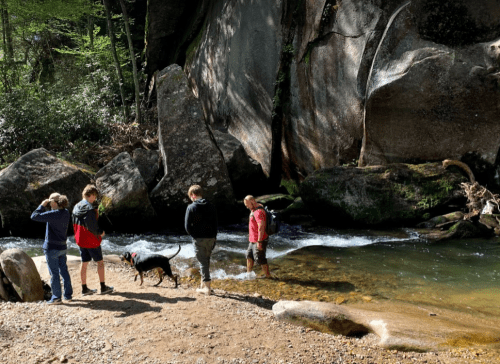 A group of four people and a dog stand by a river, surrounded by rocks and greenery, enjoying a sunny day outdoors.
