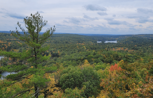 A scenic view of a lush green forest with autumn foliage, lakes, and a cloudy sky in the background.
