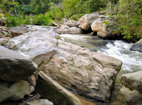 A rocky riverbank with smooth stones and flowing water surrounded by lush greenery.