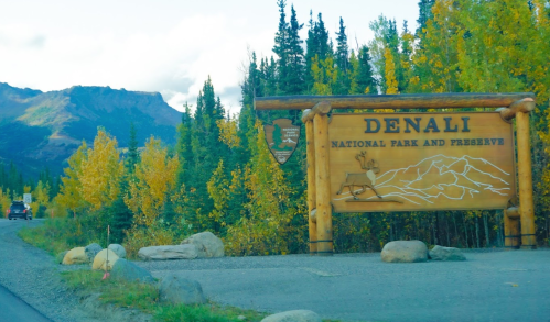 Wooden sign for Denali National Park and Preserve, surrounded by autumn foliage and mountains in the background.