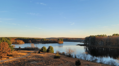 A serene landscape featuring a calm lake surrounded by trees and golden grass under a clear blue sky.
