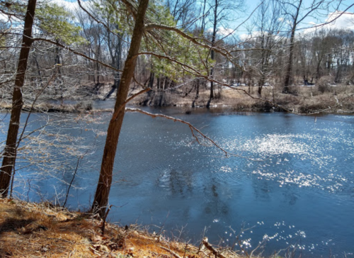 A serene river scene with trees along the bank and sunlight reflecting on the water's surface.