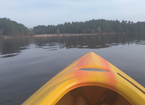 View from a yellow kayak on calm water, surrounded by trees and a distant shoreline.