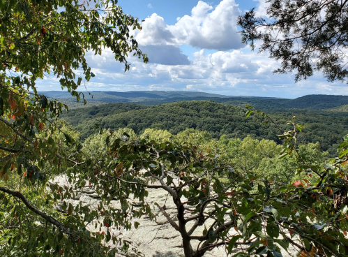 A scenic view of rolling green hills and trees under a partly cloudy sky.