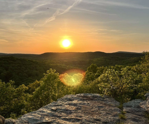 A sunset over a lush green landscape, with trees and hills silhouetted against a vibrant orange sky.