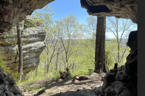 View from a cave entrance overlooking a lush green landscape with trees and a clear blue sky.
