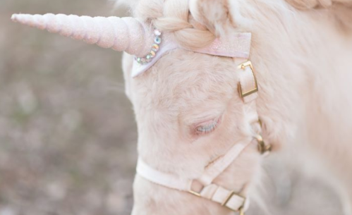 A close-up of a white unicorn with a sparkling horn and a decorative headband, looking down.
