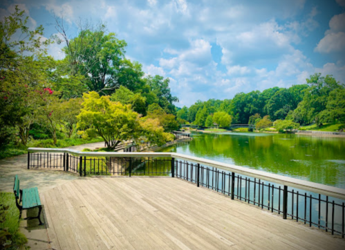 A serene park scene featuring a wooden walkway by a calm pond, surrounded by lush greenery and blue skies.