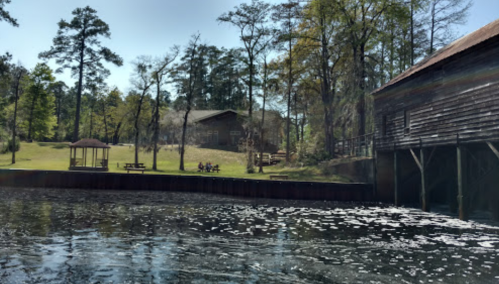 A serene view of a pond with a wooden building and picnic area surrounded by trees on a sunny day.