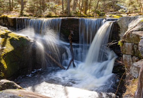 A serene waterfall cascades over rocks, surrounded by lush greenery and trees in a peaceful forest setting.