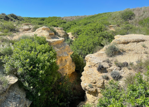 A rocky canyon surrounded by lush green vegetation under a clear blue sky.