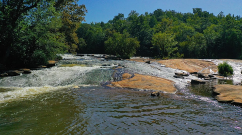 A serene river flows over rocky terrain, surrounded by lush green trees under a clear blue sky.