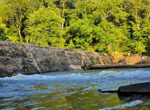 A serene river flows past a rocky bank, surrounded by lush green trees under a clear blue sky.