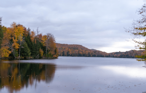 A serene lake surrounded by autumn trees, reflecting a cloudy sky and colorful foliage.