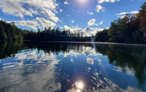 A serene lake reflecting clouds and trees under a bright blue sky, with gentle ripples on the water's surface.