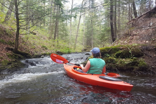 A person in a green shirt paddles an orange kayak through a narrow, wooded stream with gentle rapids.
