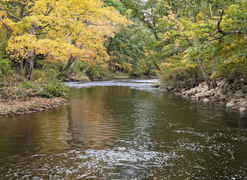 A serene river flows through a forest with vibrant autumn foliage reflecting on the water's surface.