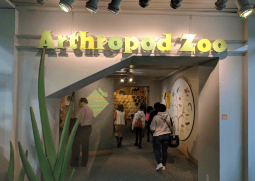 Entrance to the Arthropod Zoo, featuring a colorful sign and visitors walking inside.