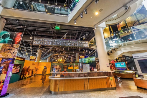 Interior of the North Carolina Museum of Natural Sciences, featuring exhibits and a welcoming reception area.