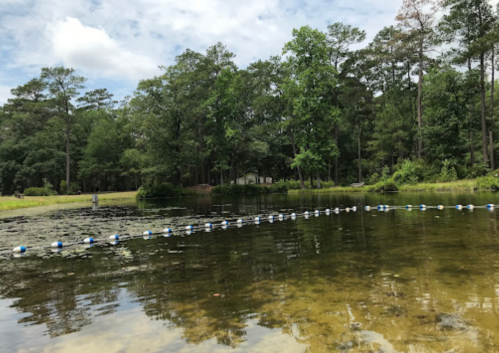 A serene pond surrounded by trees, with a floating barrier marking a swimming area under a cloudy sky.