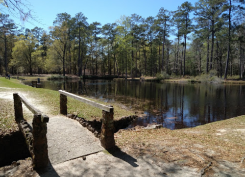 A serene pond surrounded by trees, with a small wooden bridge crossing over a path beside it.