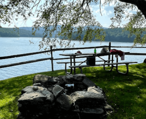 A serene lakeside scene with a picnic table, a fire pit, and trees, under a clear blue sky.