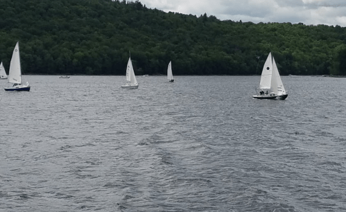 Sailboats glide across a calm lake, surrounded by lush green hills under a cloudy sky.