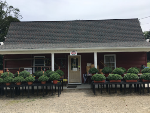 A red building with a gray roof, featuring potted plants on tables in front and a welcoming entrance.