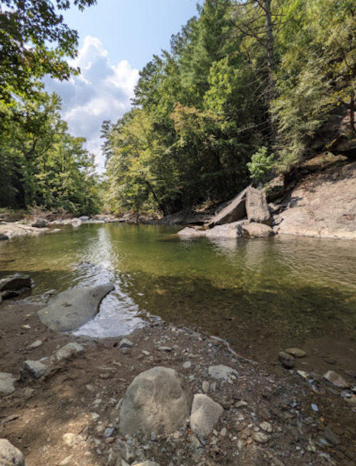 A serene river scene surrounded by trees, with clear water and rocky banks under a partly cloudy sky.