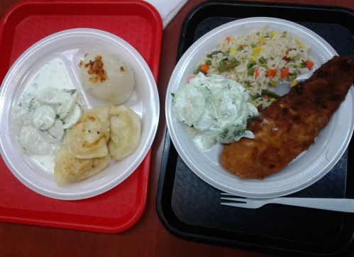 Two plates of food on trays: one with dumplings and yogurt sauce, the other with fried fish and vegetable rice.