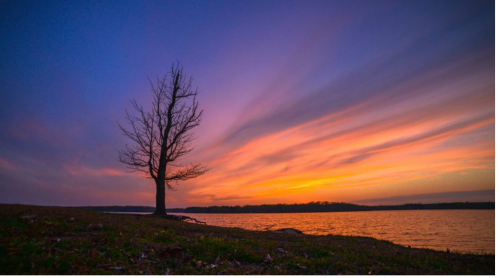 A solitary tree stands by a lake at sunset, with vibrant colors in the sky reflecting on the water.