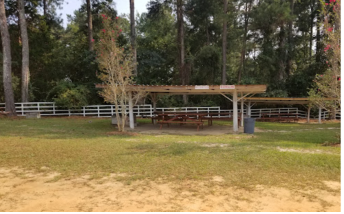 A shaded picnic area with a wooden table under a shelter, surrounded by trees and a grassy field.