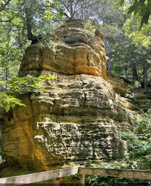 A tall, layered rock formation surrounded by lush green trees and foliage in a natural setting.