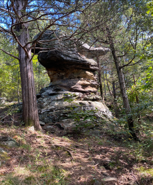 A large, unique rock formation surrounded by trees in a wooded area. Sunlight filters through the foliage.