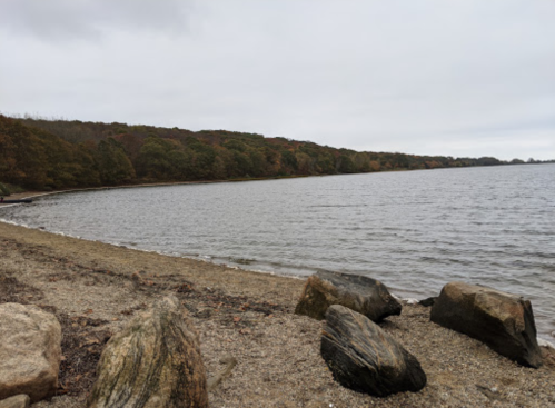 A calm shoreline with large rocks, gentle waves, and trees in the background under a cloudy sky.