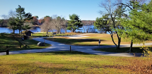 A serene park scene with a lake, trees, and a clear blue sky, featuring a winding path and open grassy areas.
