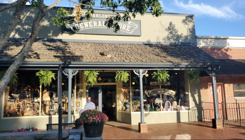 A charming general store with a welcoming entrance, adorned with plants and colorful flowers in front.