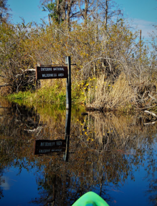 A kayak approaches a sign reading "Entering National Wilderness Area," reflected in calm water surrounded by greenery.