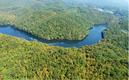 Aerial view of a winding river surrounded by lush green forests and rolling hills.