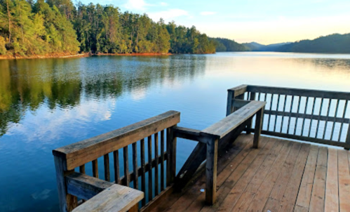 A serene lake view from a wooden dock, surrounded by lush trees and a clear blue sky.