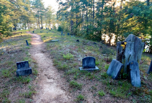 A winding path through a serene graveyard with weathered tombstones surrounded by trees and greenery.