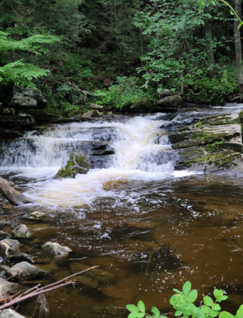 A serene stream flows over rocks, surrounded by lush greenery and trees in a peaceful natural setting.
