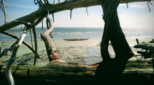 A serene beach scene framed by driftwood, with a kayak resting on the calm water under a clear sky.
