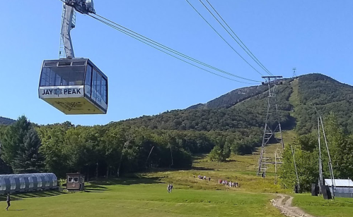 A gondola lifts over a green field, with a mountain in the background and trees lining the slopes.